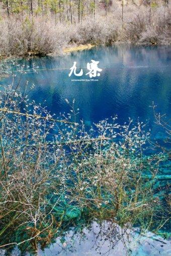 偏瘫病人行走的必要条件