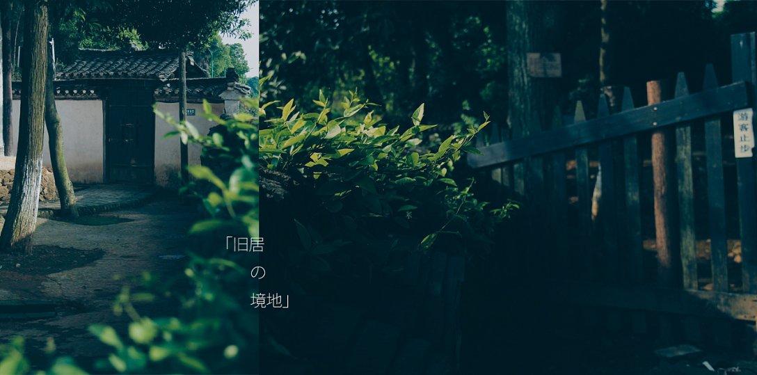 4399斗罗大陆