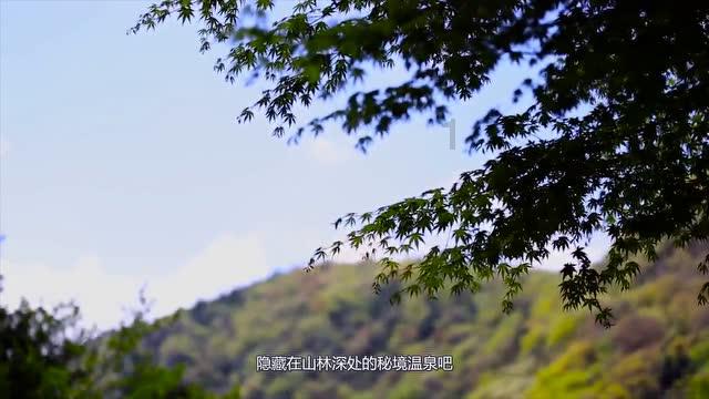 大型营救