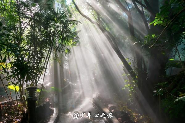 灾难来临时7
