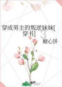 网络赋能春运，科技之光温暖回家路