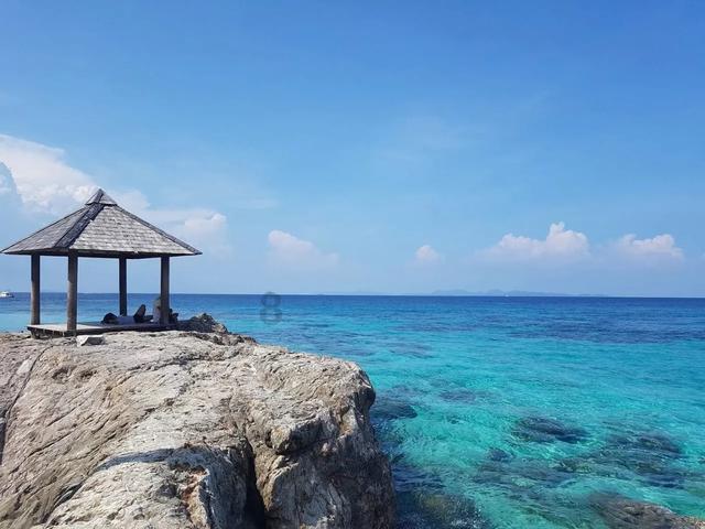 白宫首席经济顾问:美国经济前景乐观 强劲的就业形成推力