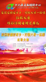 星动，只为你