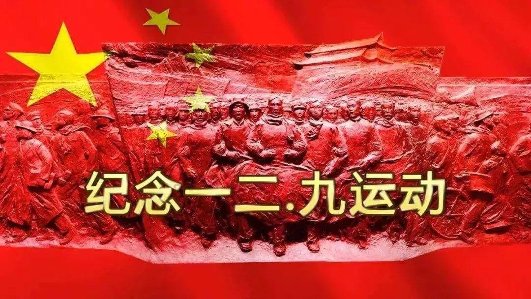 探探猫宝石岛