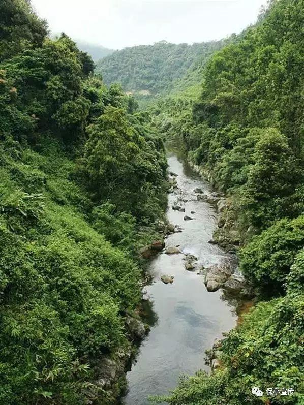 请问茉莉花茶吴裕泰好还是张一元好游戏画面