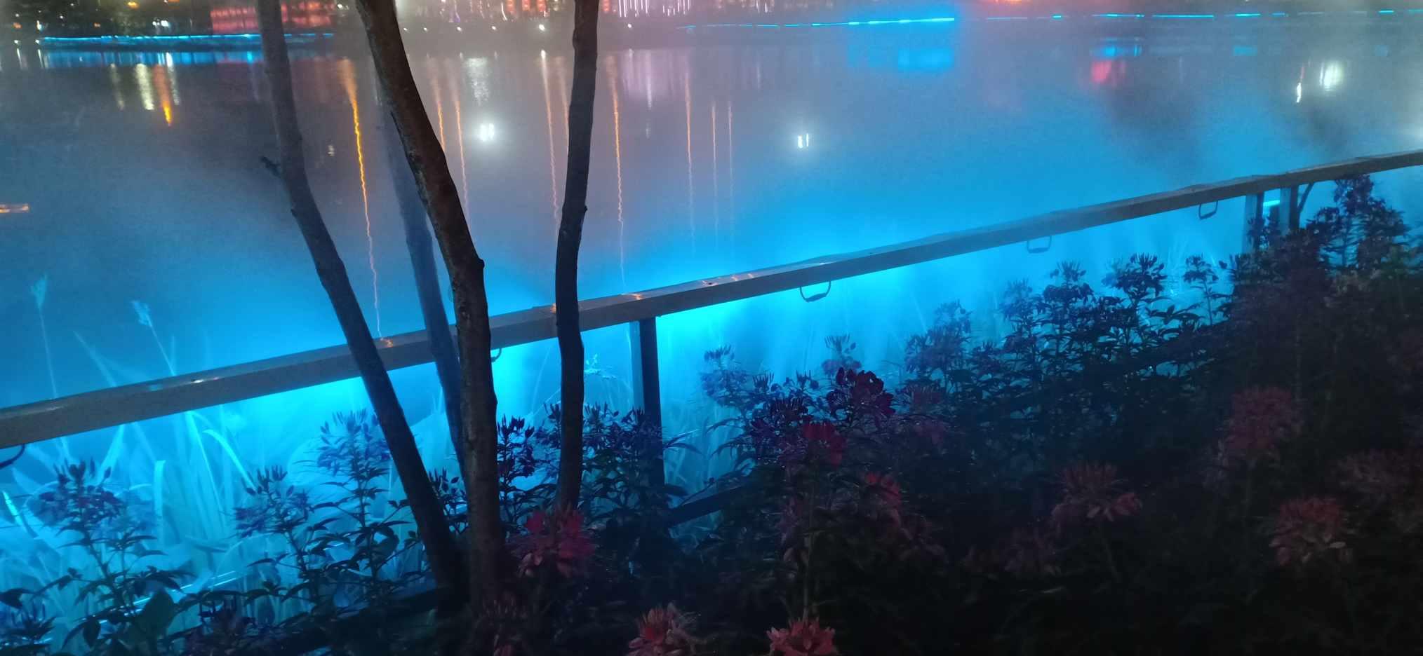 逃离危险禁地
